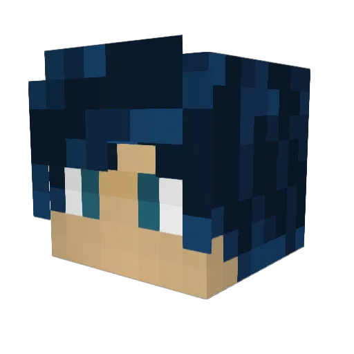 StayTooSleepy Minecraft avatar head, 3D render
