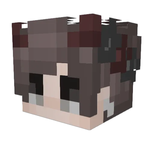 Stay_Slothy_ Minecraft avatar head, 3D render