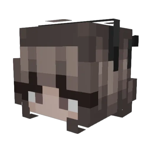 Stay_only Minecraft avatar head, 3D render