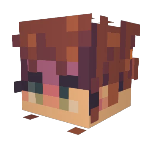 Stayathomemom08 Minecraft avatar head, 3D render