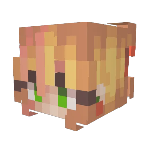 Stayz Minecraft avatar head, 3D render