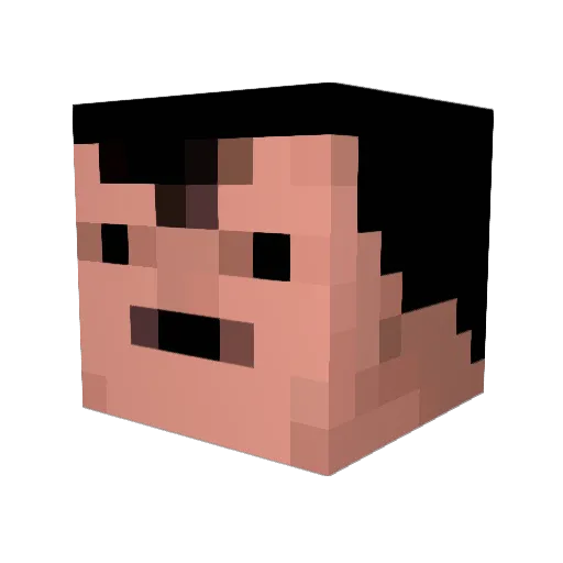 SteFranci Minecraft avatar head, 3D render