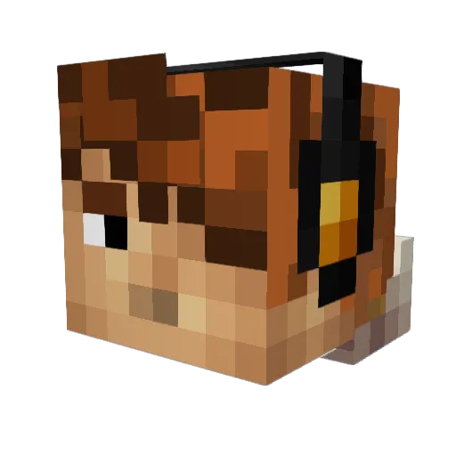 SteSomma01 Minecraft avatar head, 3D render