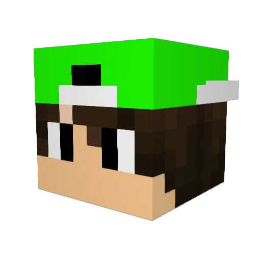 SteWi1337 Minecraft avatar head, 3D render