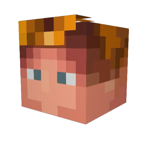 Steady_Hunter Minecraft avatar head, 3D render