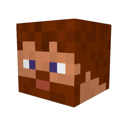 SteakFajitas Minecraft avatar head, 3D render