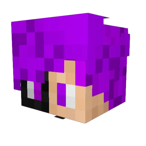 SteakInsel2007 Minecraft avatar head, 3D render