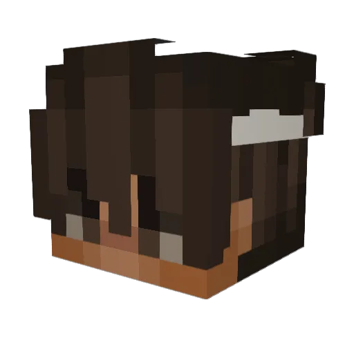 SteakSauce89 Minecraft avatar head, 3D render