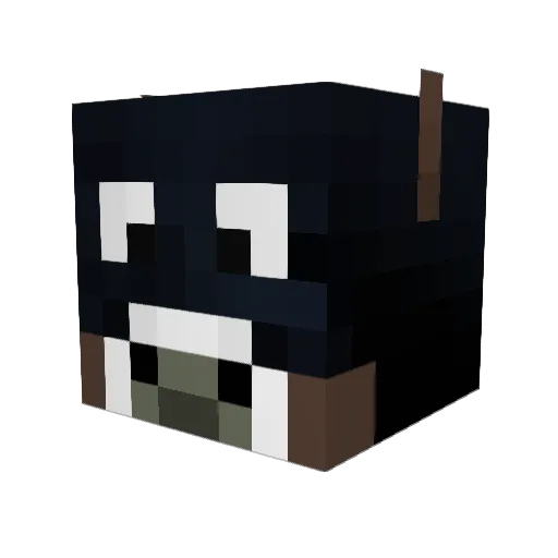 Steak_Enjoyer Minecraft avatar head, 3D render