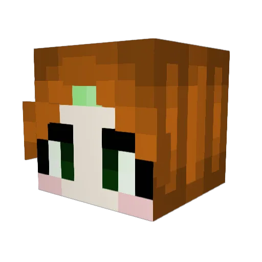 Steakmayor Minecraft avatar head, 3D render
