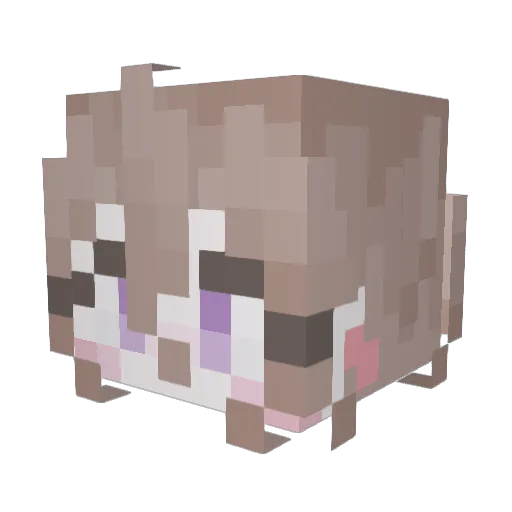 SteakyWakey101 Minecraft avatar head, 3D render