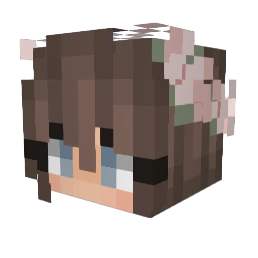 StealKill_ Minecraft avatar head, 3D render