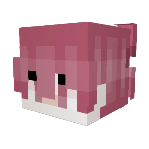 StealYoGurl2026 Minecraft avatar head, 3D render
