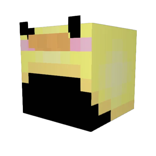 StealingDuck Minecraft avatar head, 3D render
