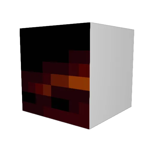 StealingSociety Minecraft avatar head, 3D render