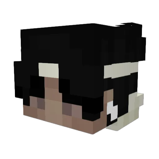 StealthAlcatraz Minecraft avatar head, 3D render