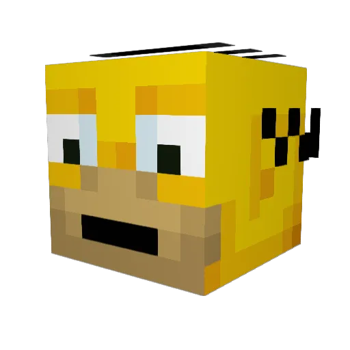 StealthNinja6502 Minecraft avatar head, 3D render