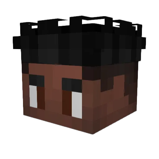 StealthObject29 Minecraft avatar head, 3D render