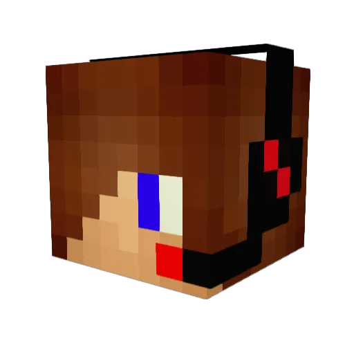 StealthRobo2000 Minecraft avatar head, 3D render