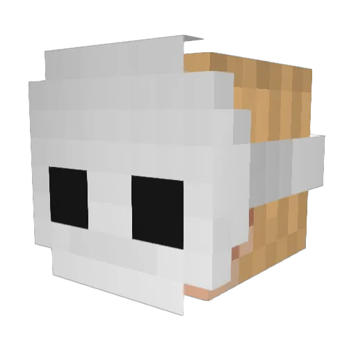 StealthShxdow Minecraft avatar head, 3D render