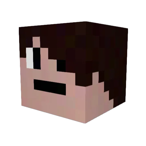StealthTom Minecraft avatar head, 3D render
