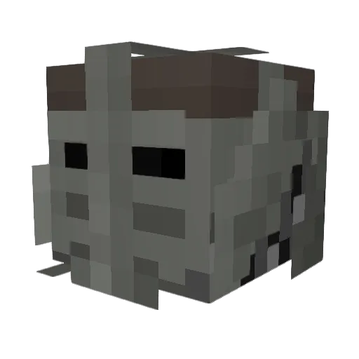 Stealth_Demonz Minecraft avatar head, 3D render