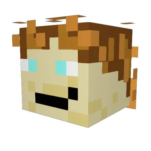 Stealth_Noodle Minecraft avatar head, 3D render