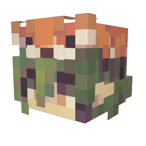 Stealthwire Minecraft avatar head, 3D render