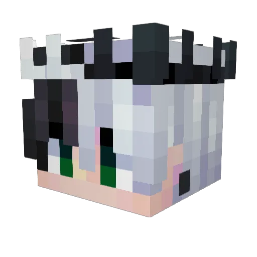 Stealthwolf9 Minecraft avatar head, 3D render