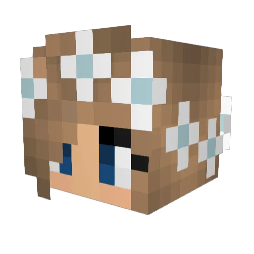 StealthyFerrets Minecraft avatar head, 3D render