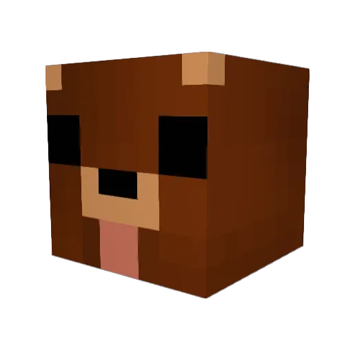 StealthyPicklez Minecraft avatar head, 3D render