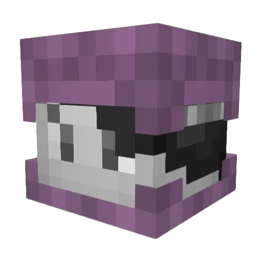 Stealthy_Haks Minecraft avatar head, 3D render