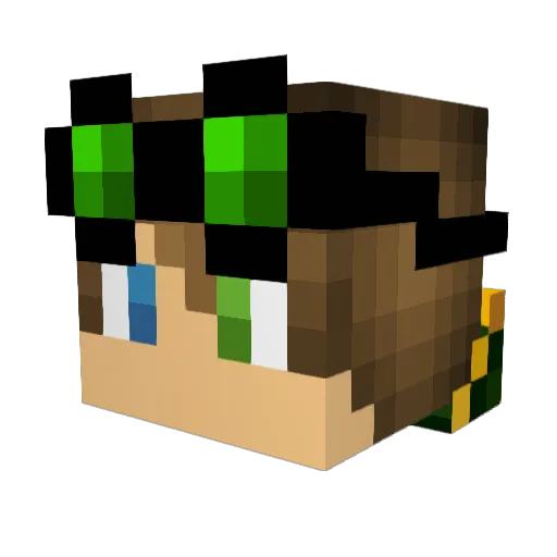 Stealthy_Koala Minecraft avatar head, 3D render