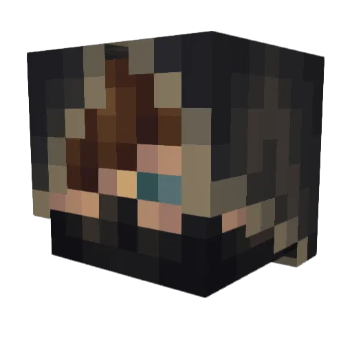 Stealthywolf243 Minecraft avatar head, 3D render