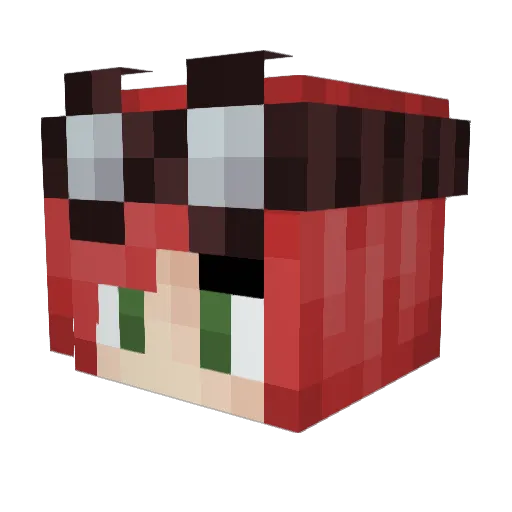 Steam0wl Minecraft avatar head, 3D render