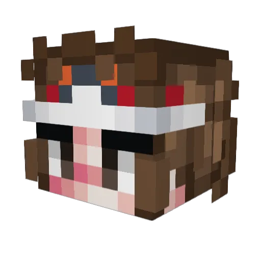 SteamHams Minecraft avatar head, 3D render