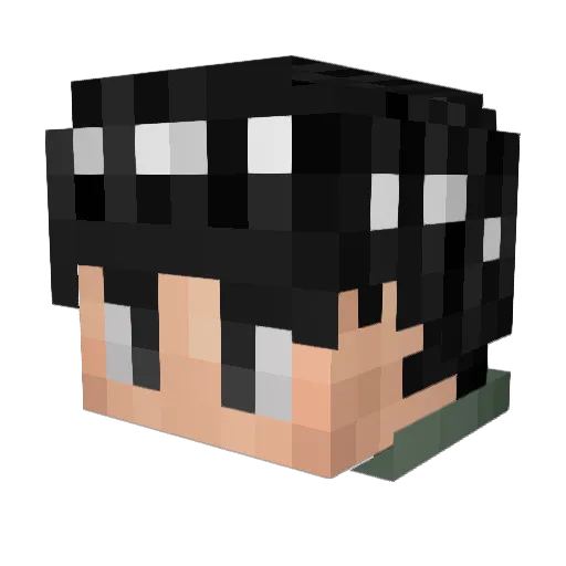 SteamedEdamame Minecraft avatar head, 3D render