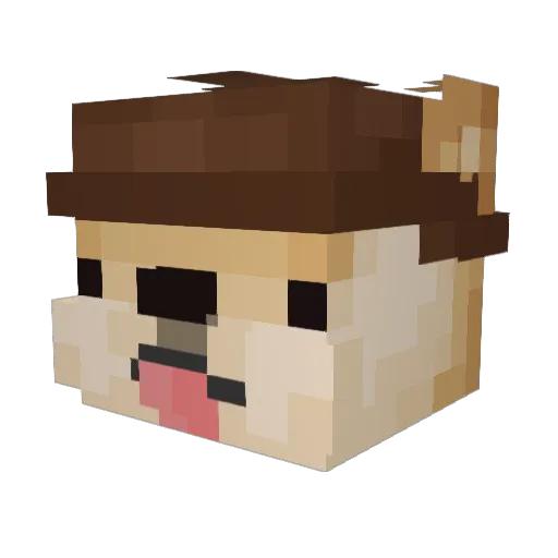 StecYT Minecraft avatar head, 3D render