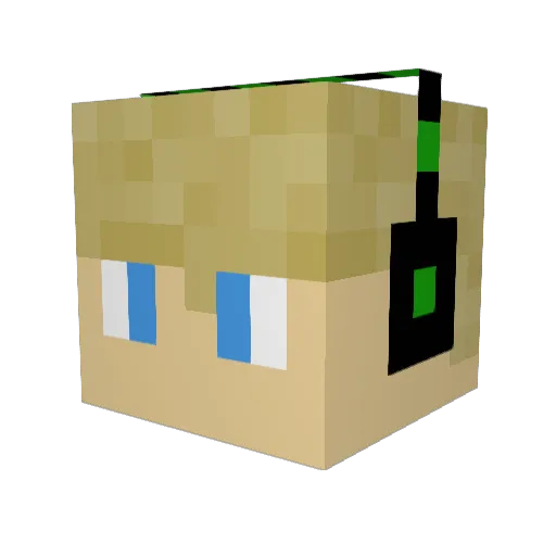 Sted9 Minecraft avatar head, 3D render