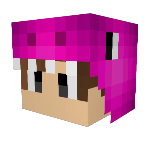 Steeeer Minecraft avatar head, 3D render