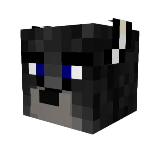 Steeevie11 Minecraft avatar head, 3D render