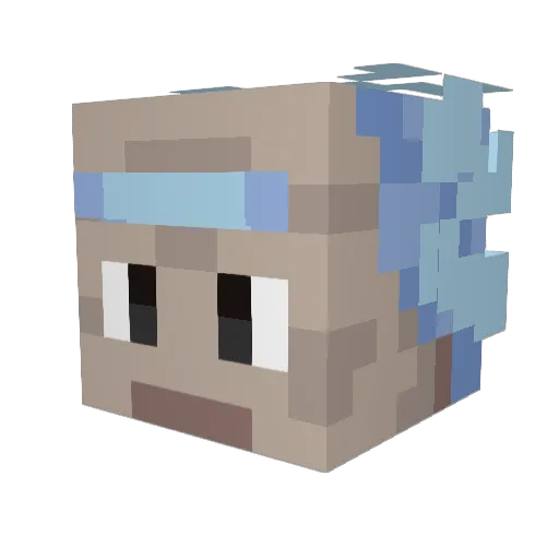 Steef12345 Minecraft avatar head, 3D render