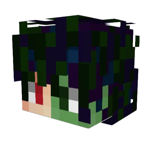 Steefin Minecraft avatar head, 3D render