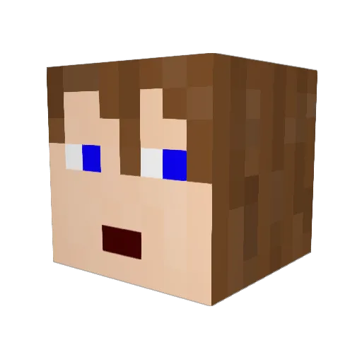 Steel1270 Minecraft avatar head, 3D render
