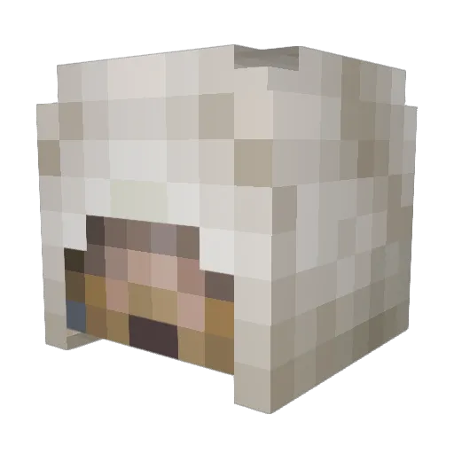 SteelWall43 Minecraft avatar head, 3D render