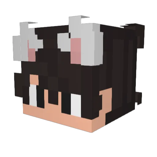 Steelheart117 Minecraft avatar head, 3D render