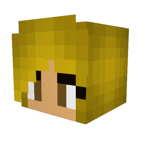 Steelhearts23 Minecraft avatar head, 3D render