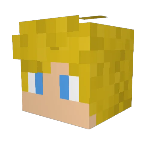 Steelmerlin98 Minecraft avatar head, 3D render