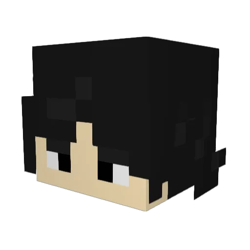 Steelturtle Minecraft avatar head, 3D render