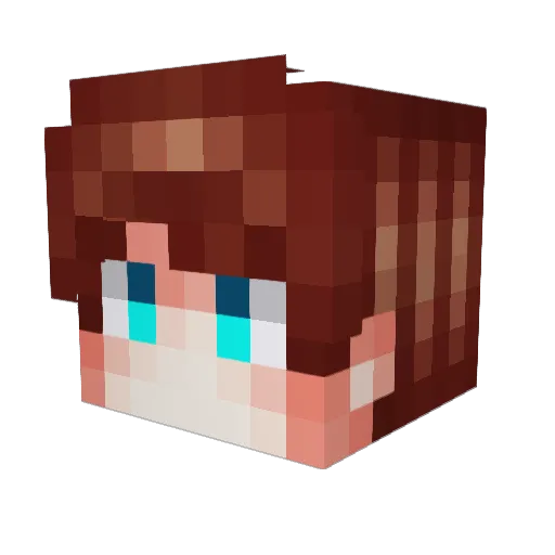 SteelyWolf Minecraft avatar head, 3D render